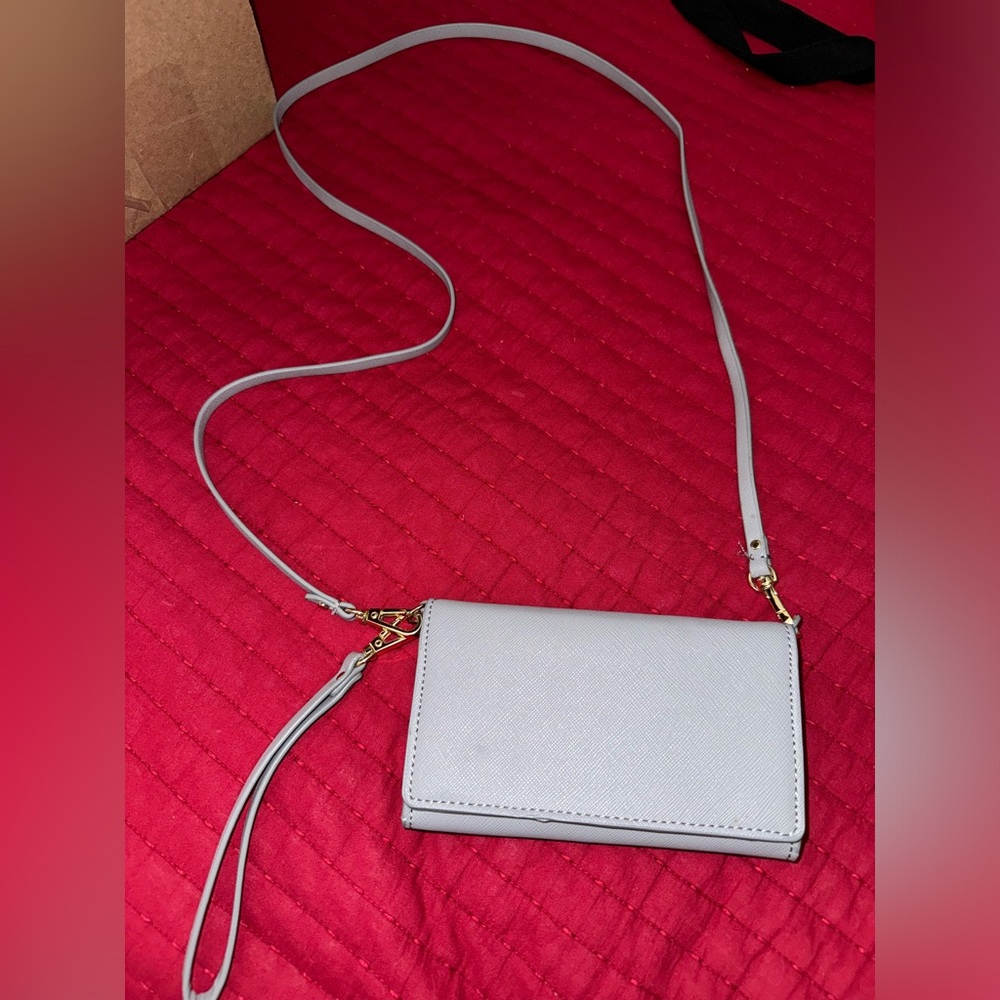 Zara Sidebag/wristlet